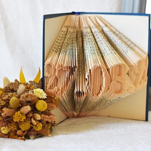 Livre plié : Lande